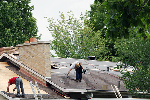 Best Emergency Roof Repair Services  in Frackville, PA